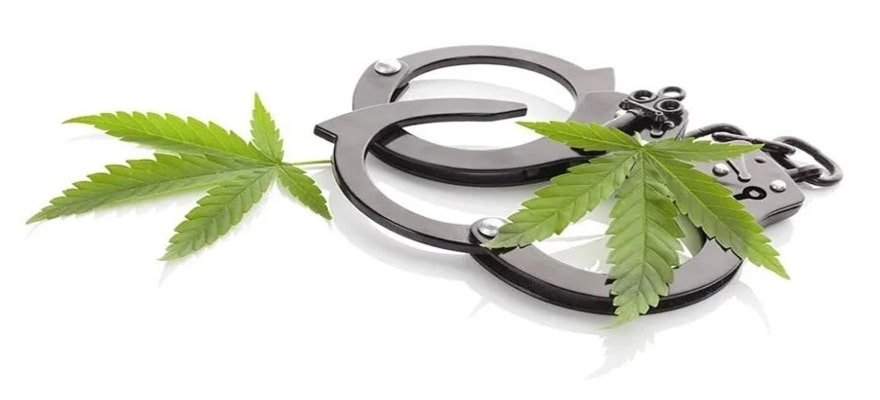  Honolulu Commercial Promotion of Marijuana Defense Lawyer | Attorneys for Freedom Law Firm